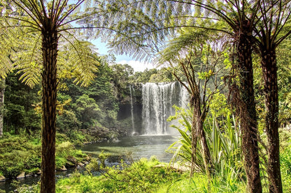 Waterfalls Surrounded by Trees Photograph Print 100% Australian Made