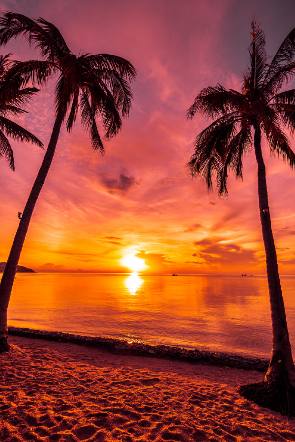 Palm Trees near Island Sea Sunset Photograph Print 100% Australian Made