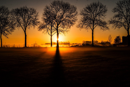 Trees & Sunset Scenery Photograph Print 100% Australian Made