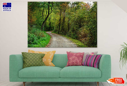 Road in Colorful Forest Photograph Print 100% Australian Made