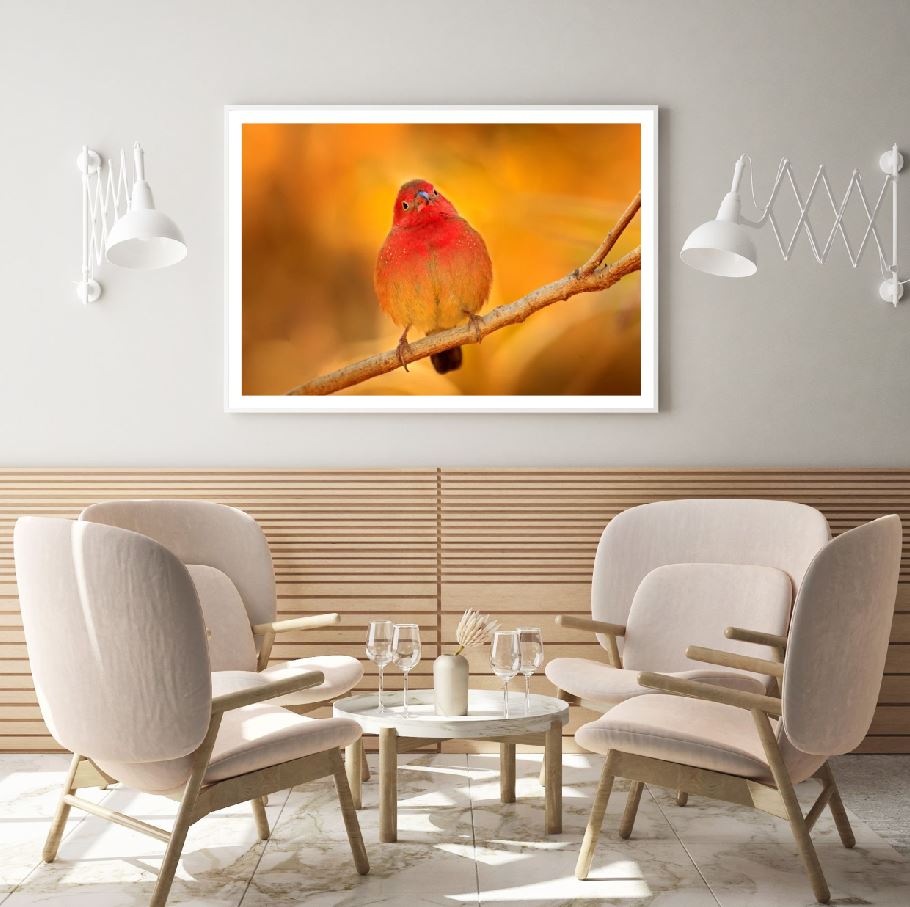 Bird on Tree Closeup Photograph Home Decor Premium Quality Poster Print Choose Your Sizes
