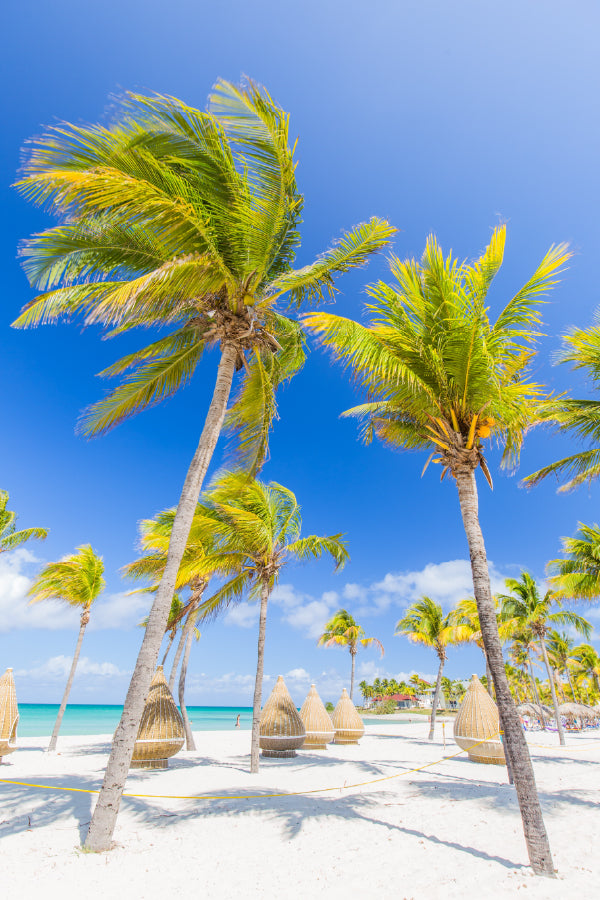 Nice Sea with Chairs & Palm Trees Photograph Print 100% Australian Made