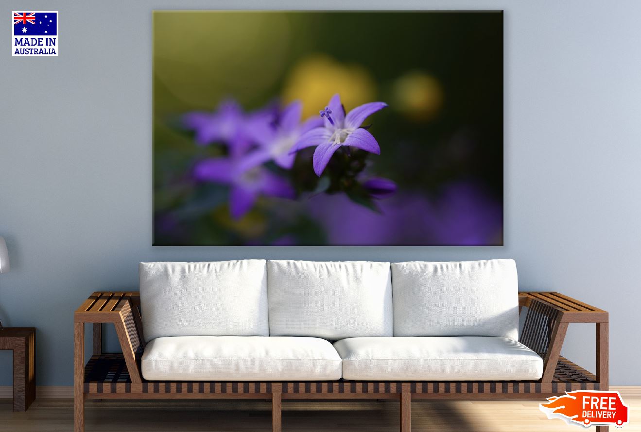 Purple Blossom Flower Closeup Photograph Print 100% Australian Made