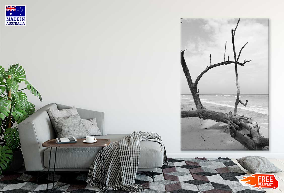 Fallen Tree Trunk on Island B&W Photograph Print 100% Australian Made