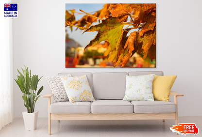 Autumn Leaves Closeup Photograph Print 100% Australian Made