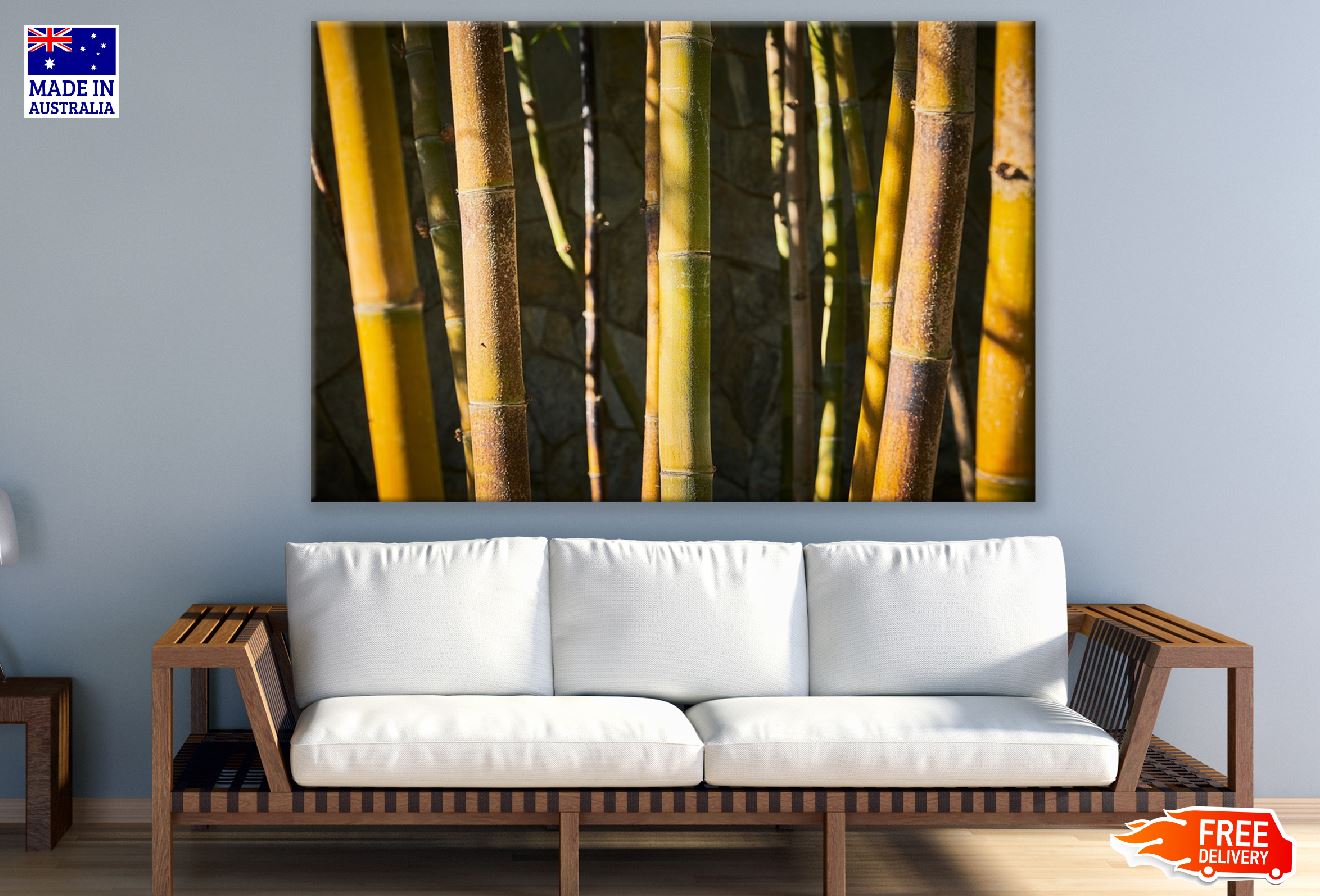 Bamboo Tree Forest Photograph Print 100% Australian Made