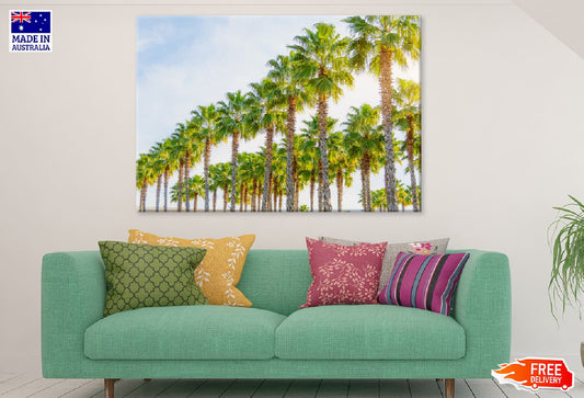 Row of Palm Trees Blue Sky View Photograph Print 100% Australian Made