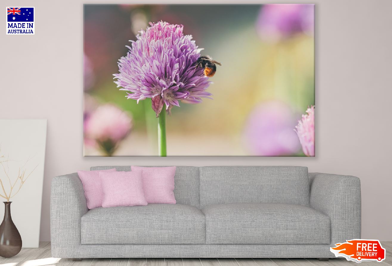 Bee on Dahlia Flower Photograph Print 100% Australian Made