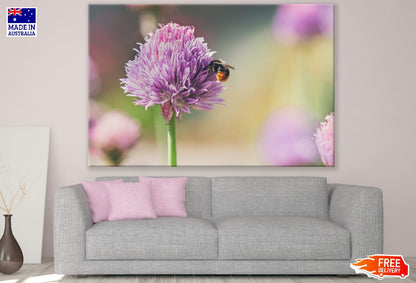Bee on Dahlia Flower Photograph Print 100% Australian Made