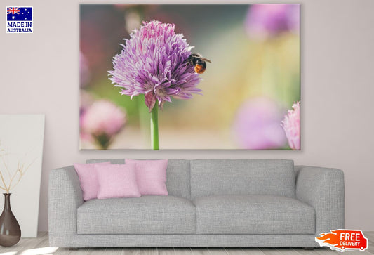 Bee on Dahlia Flower Photograph Print 100% Australian Made