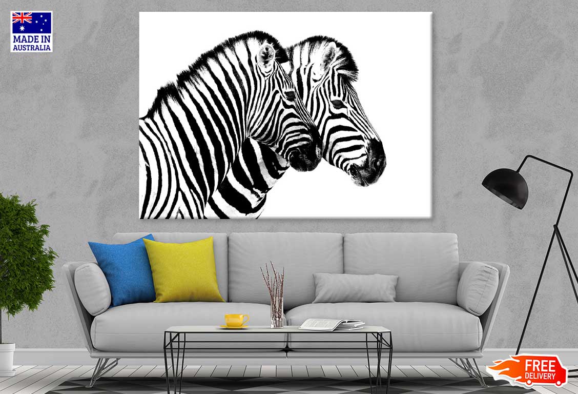 Zebras View B&W Photograph Print 100% Australian Made