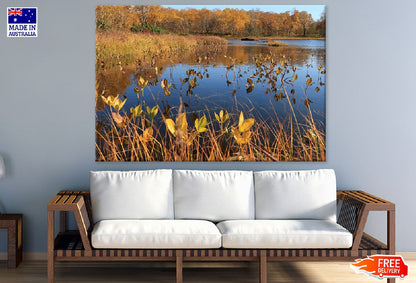 Dry Grass on Lake Photograph Print 100% Australian Made