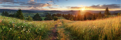 Panoramic Canvas Grass on Hill Sunset View Photograph High Quality 100% Australian Made Wall Canvas Print Ready to Hang