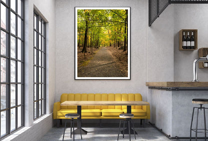 Footpath Along with Autumn Trees Photograph Home Decor Premium Quality Poster Print Choose Your Sizes