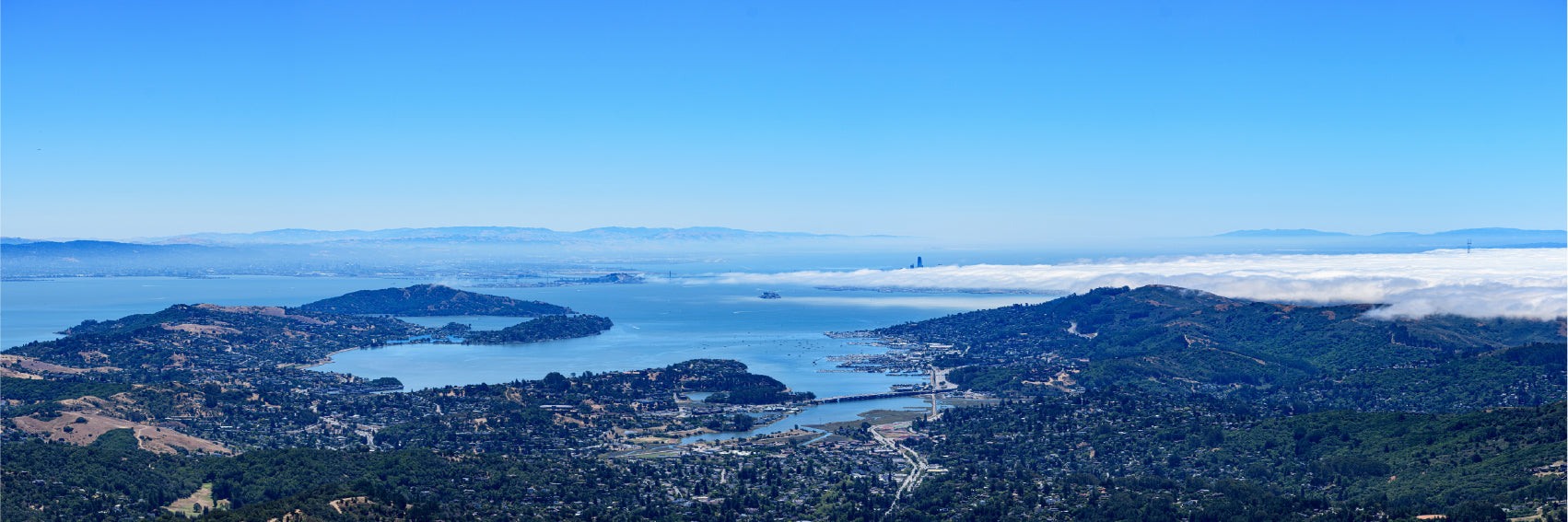 Panoramic Canvas San Francisco Bay & City View Photograph High Quality 100% Australian Made Wall Canvas Print Ready to Hang