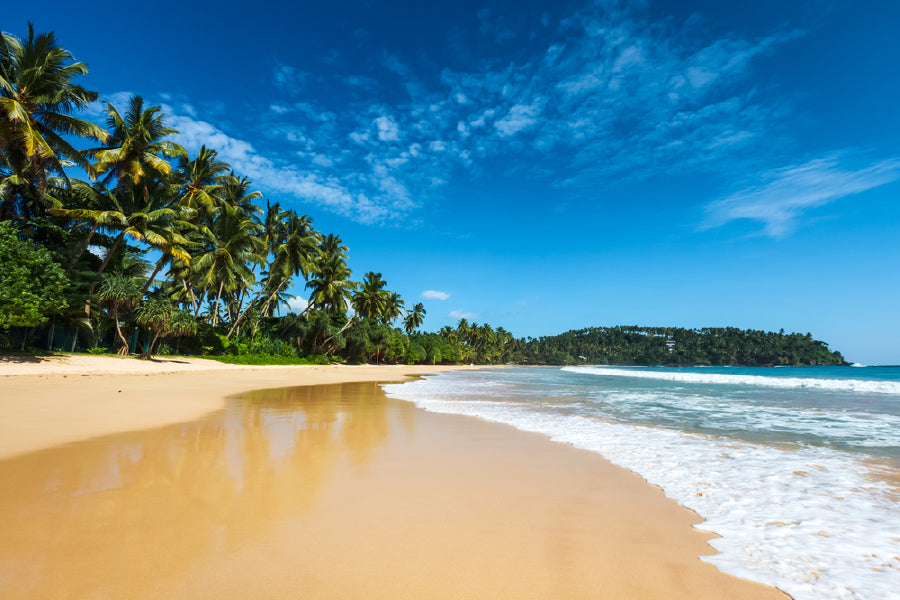 Paradise Idyllic Beach View Photograph Sri Lanka Print 100% Australian Made