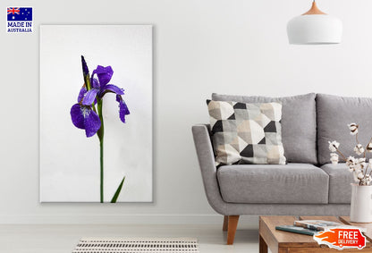 Blue Iris Flower Closeup Photograph Print 100% Australian Made