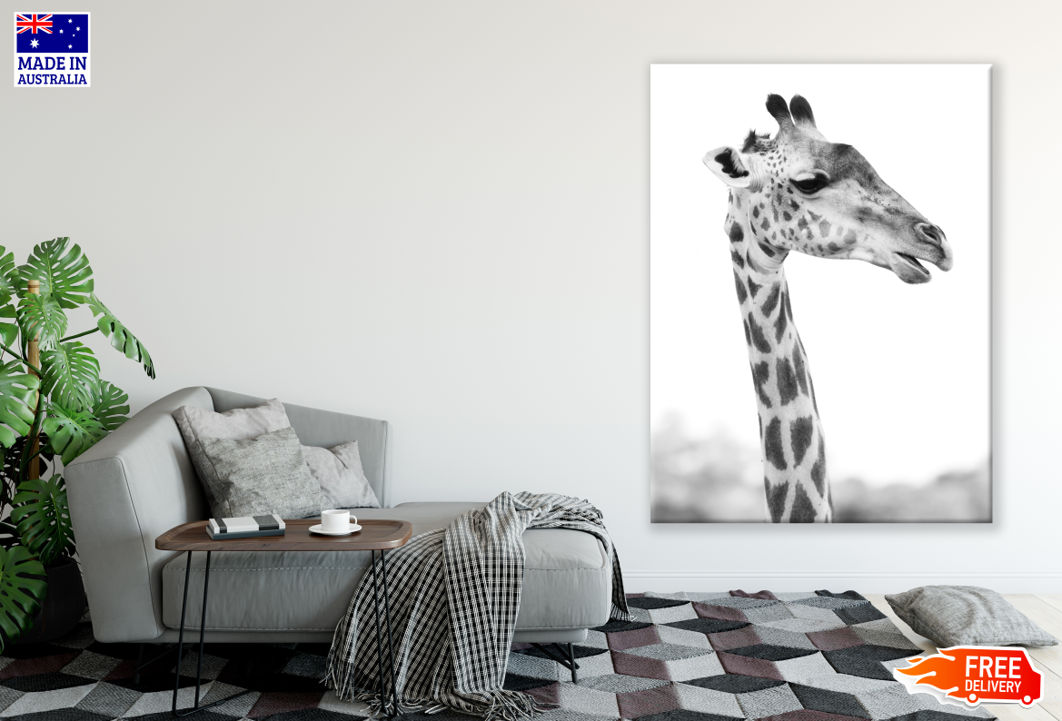 Giraffe Head Portrait Photograph Print 100% Australian Made