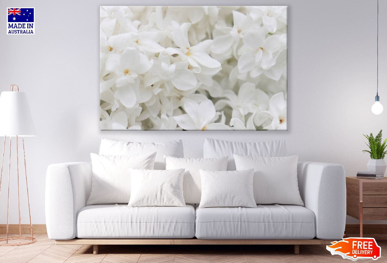 White Lilac Flowers Closeup Photograph Print 100% Australian Made