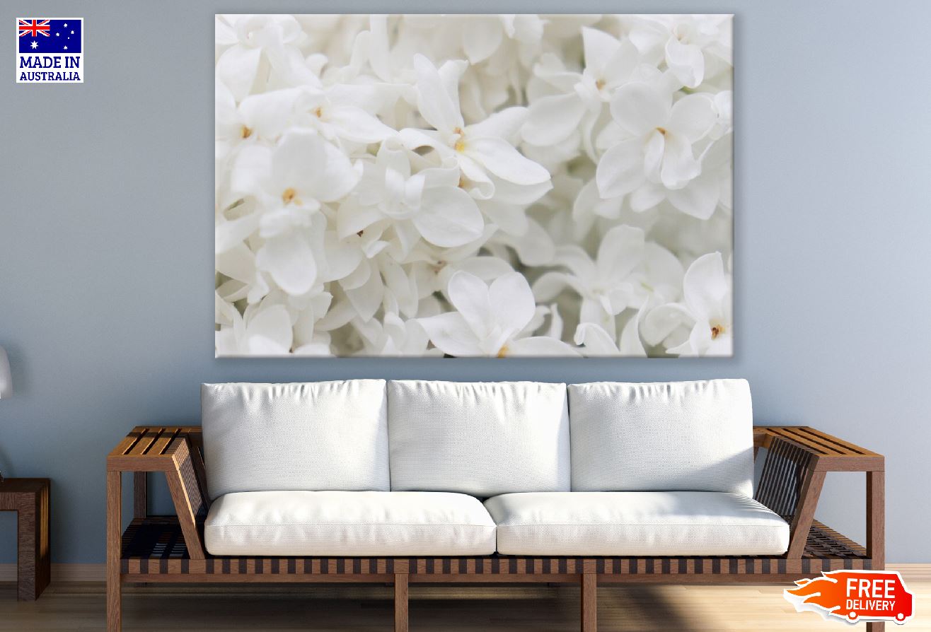 White Lilac Flowers Closeup Photograph Print 100% Australian Made
