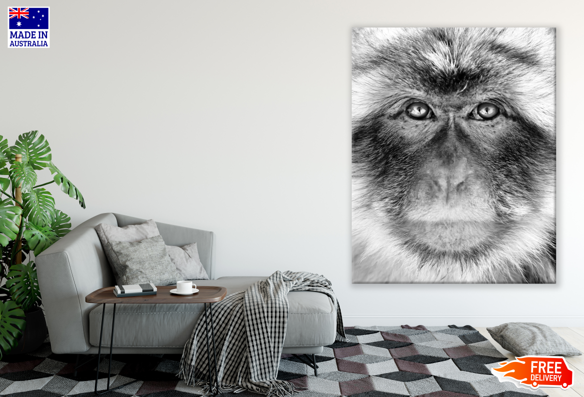 Monkey Face Portrait B&W Print 100% Australian Made