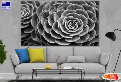 B&W Flower Photograph Print 100% Australian Made