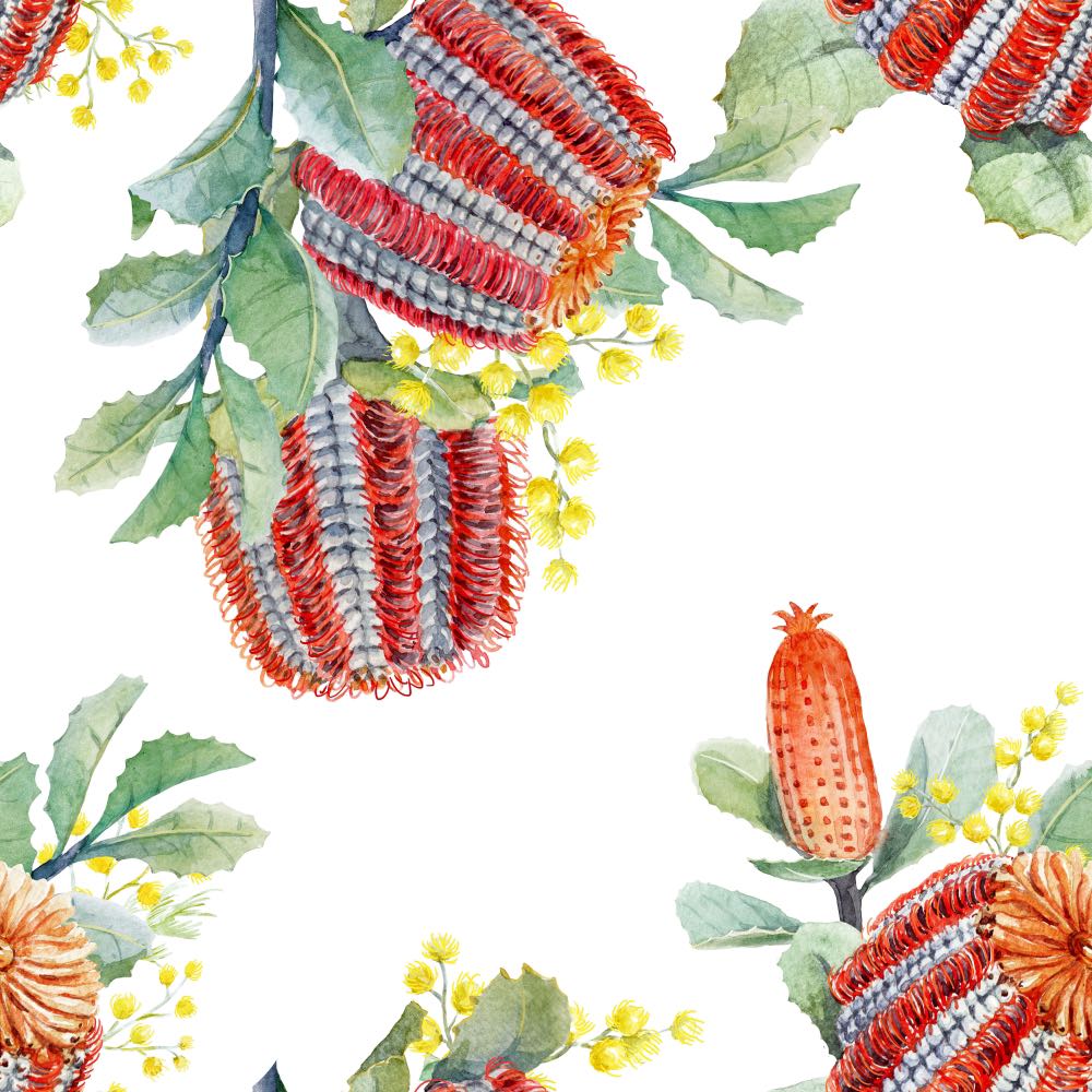 Square Canvas Australian Plants Banksia Watercolor Painting High Quality Print 100% Australian Made