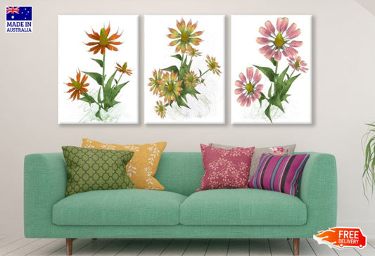 3 Set of Colorful Flowers Painting High Quality Print 100% Australian Made Wall Canvas Ready to Hang