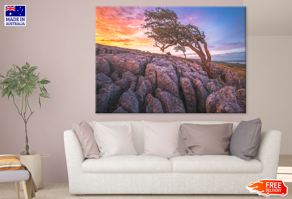 Tree On Rock & Sunset View Print 100% Australian Made