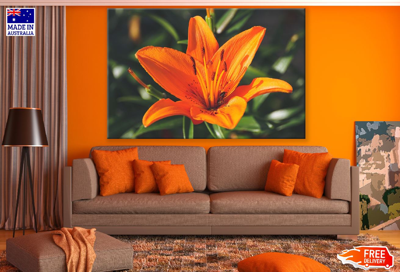 Orange Lily Flower Photograph Print 100% Australian Made