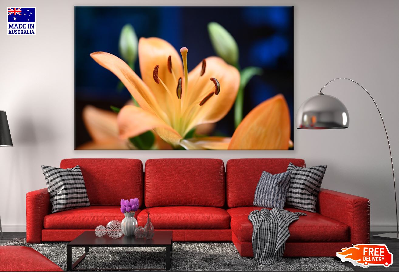 Orange Lily Flower Closeup Photograph Print 100% Australian Made
