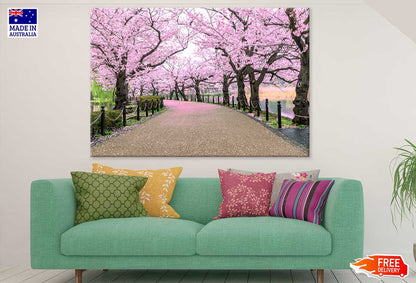 Cherry Blossom Flower Trees Road Photograph Print 100% Australian Made