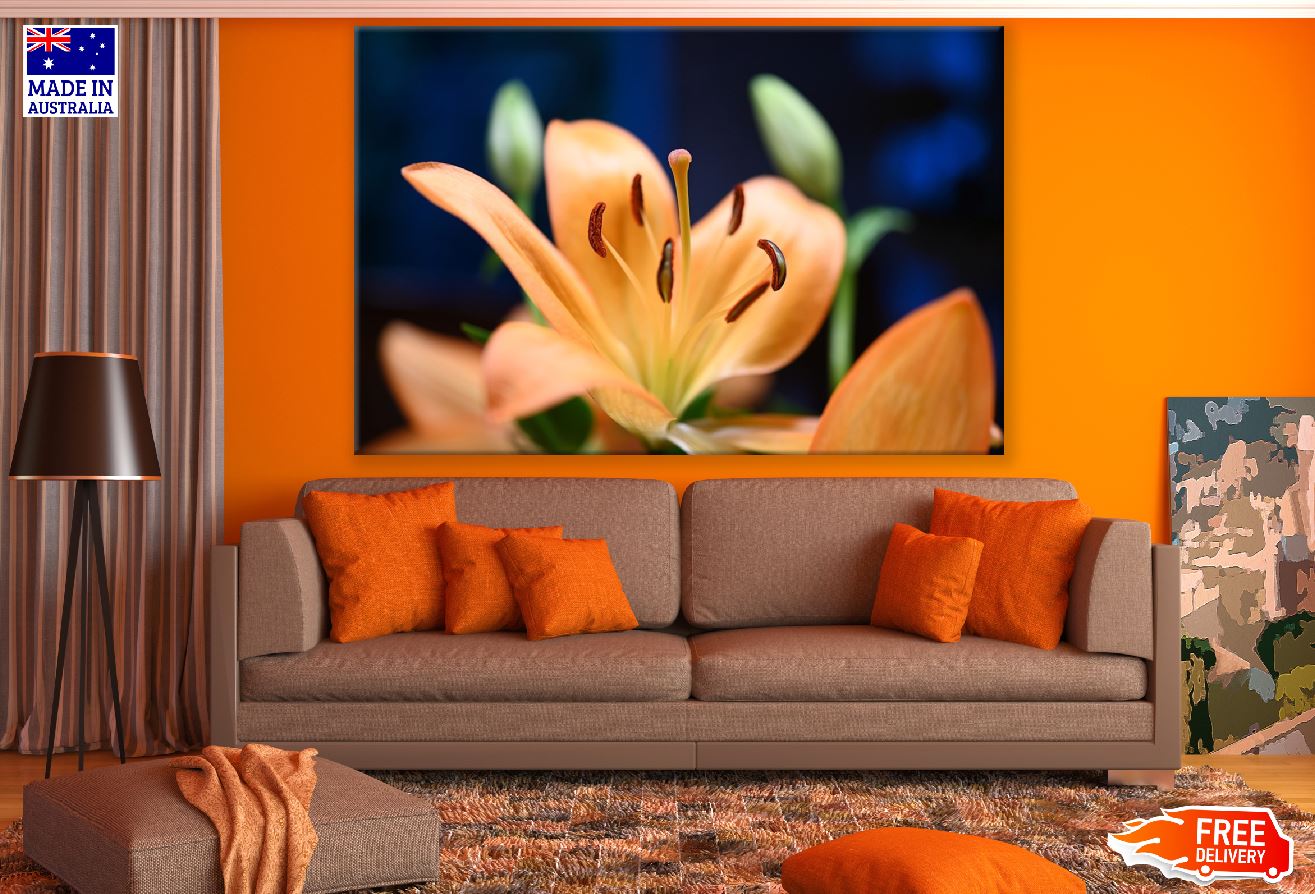 Orange Lily Flower Closeup Photograph Print 100% Australian Made