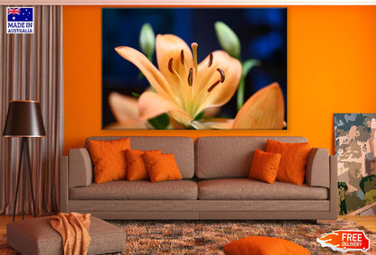 Orange Lily Flower Closeup Photograph Print 100% Australian Made