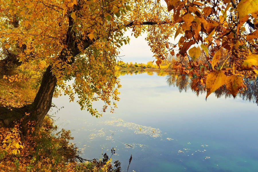 Autumn Landscape on the Lake Photograph Print 100% Australian Made