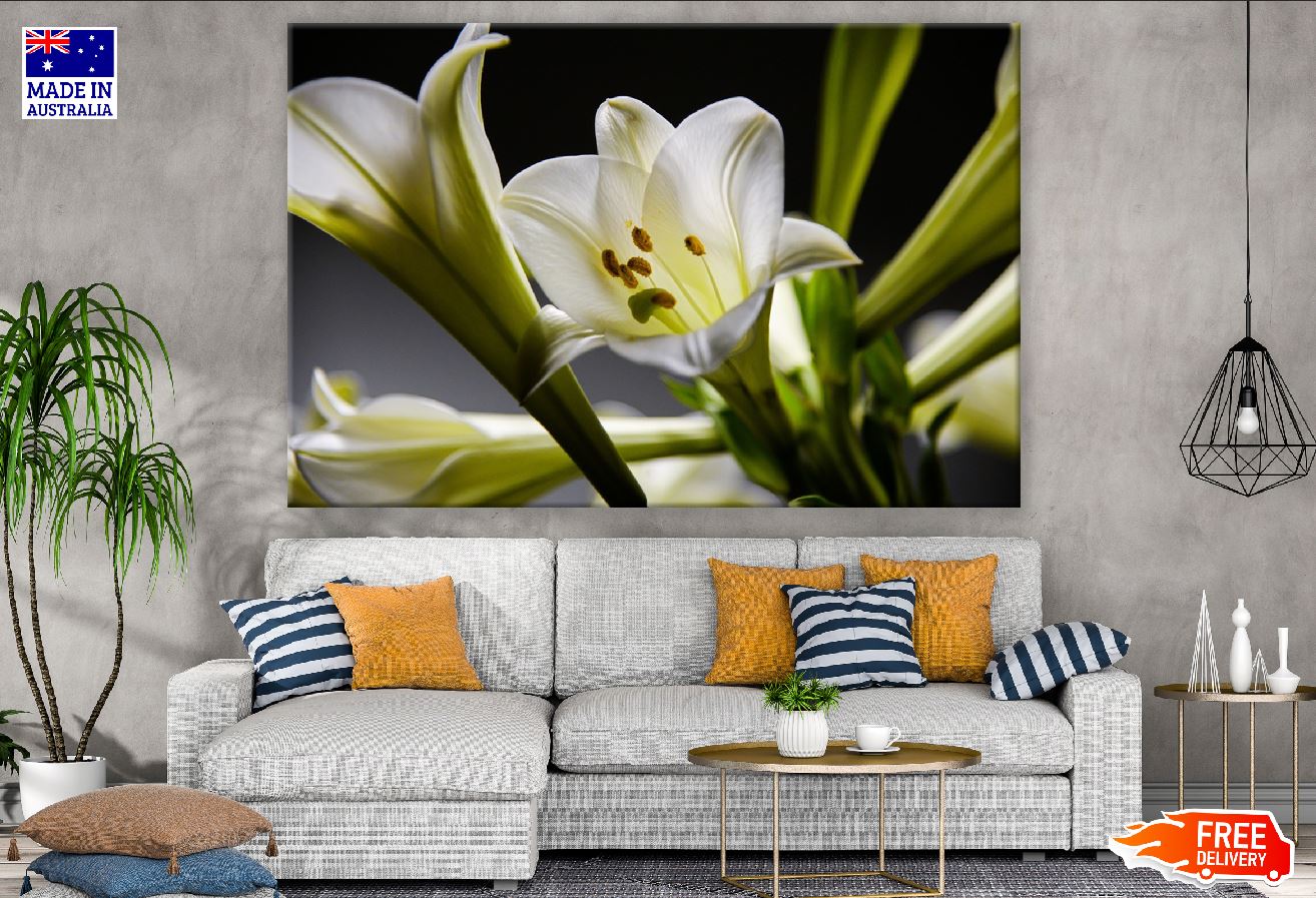 White Lily Flower Closeup Photograph Print 100% Australian Made