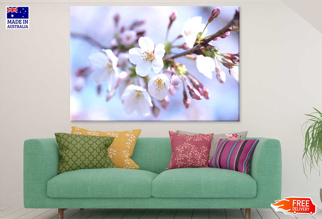 White Sakura Flowers Branch View Photograph Print 100% Australian Made
