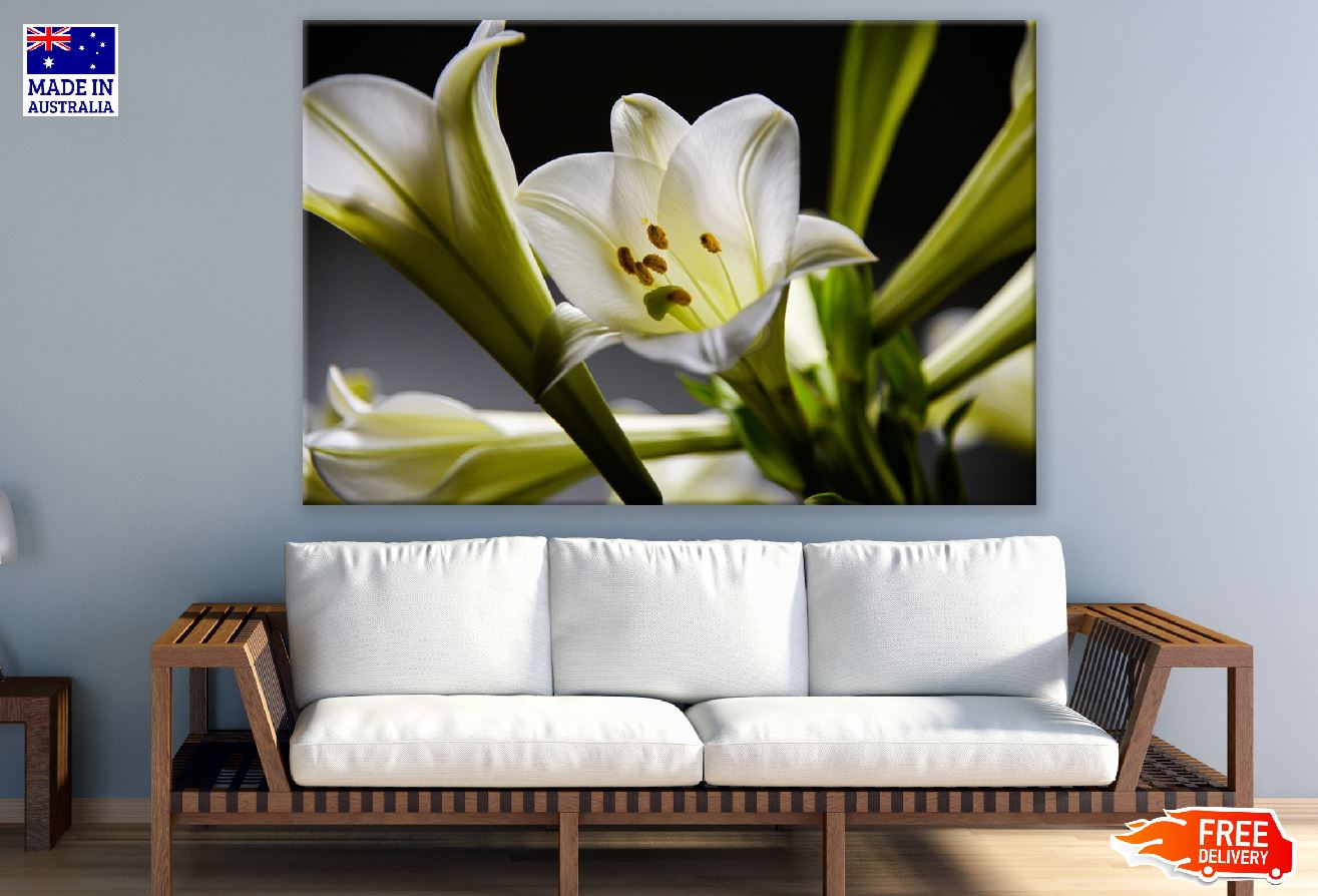 White Lily Flower Closeup Photograph Print 100% Australian Made