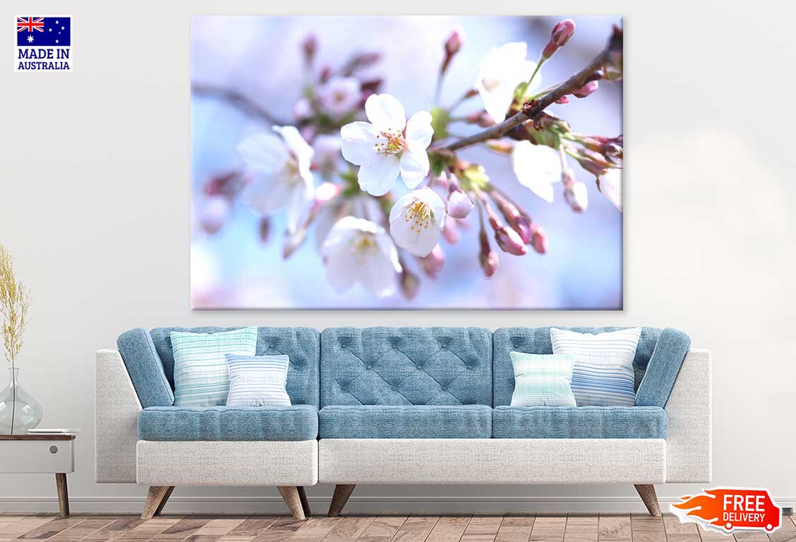 White Sakura Flowers Branch View Photograph Print 100% Australian Made