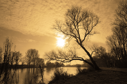 Dead Trees & Lake Sunset Photograph Print 100% Australian Made