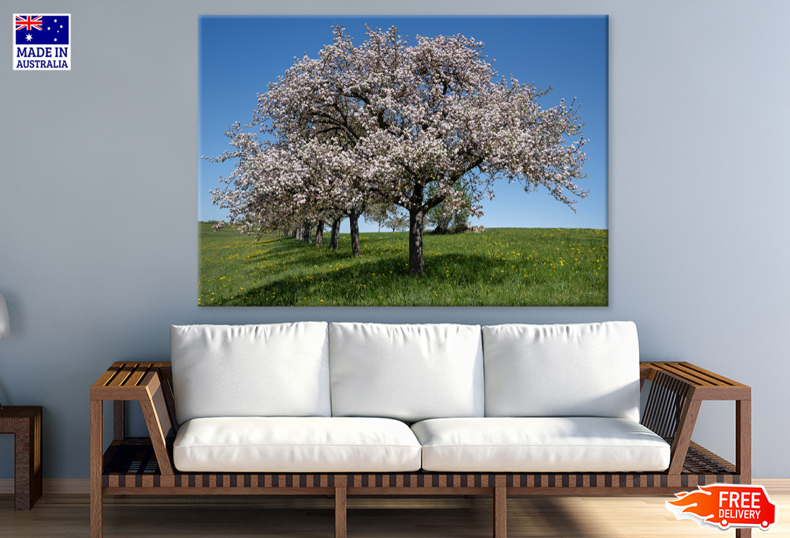 Blossom Flower Trees & Sky View Print 100% Australian Made