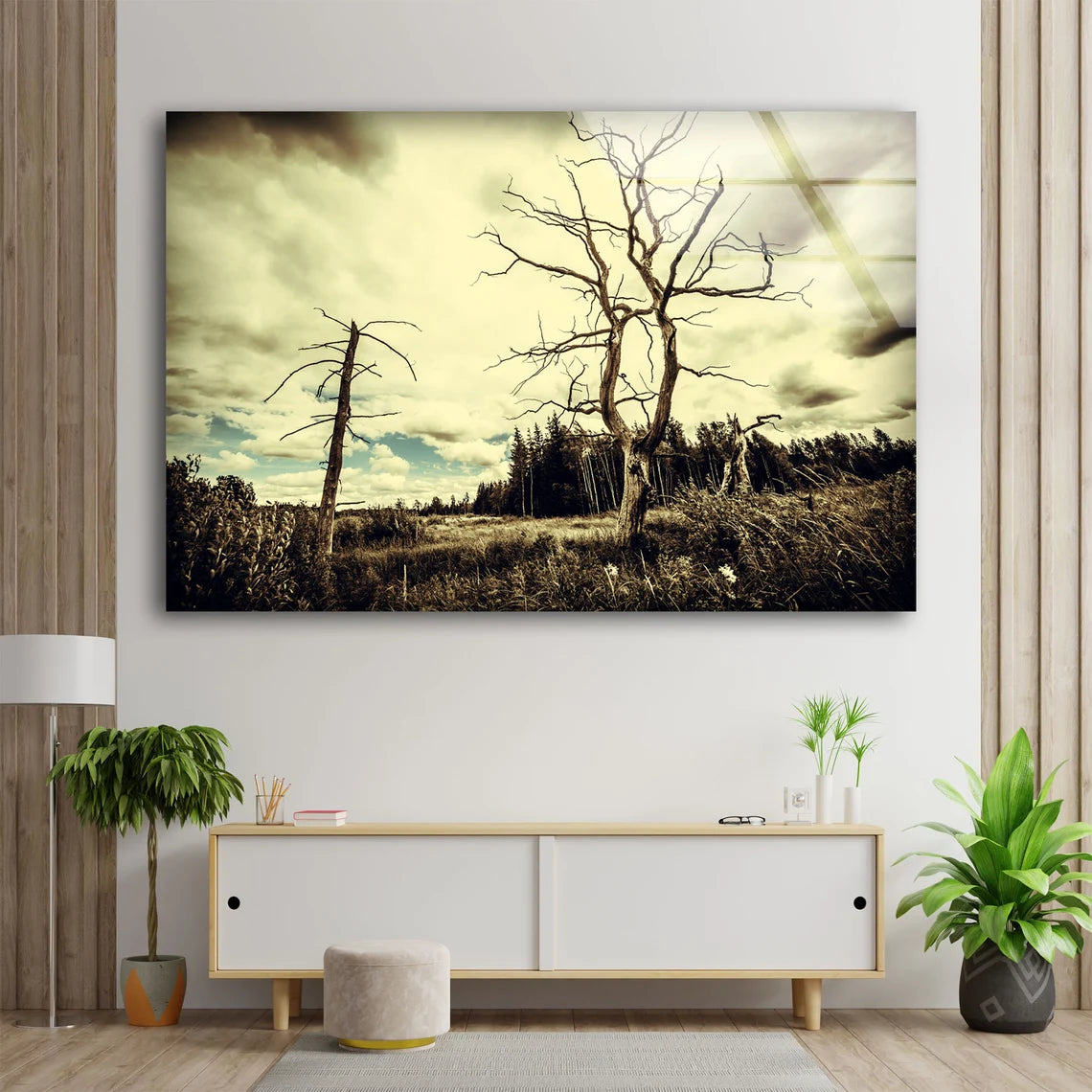 Dead Tree & Forest Photograph Acrylic Glass Print Tempered Glass Wall Art 100% Made in Australia Ready to Hang