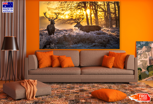 Deers in Floral Field Sunset Print 100% Australian Made