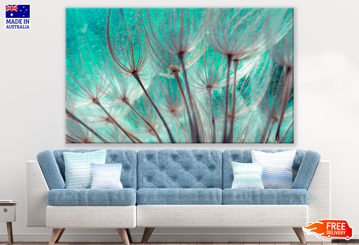 Dandelion Flowers Close up Photograph Print 100% Australian Made