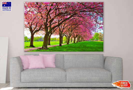 Blossom Trees In a Ground, Road Photograph Print 100% Australian Made