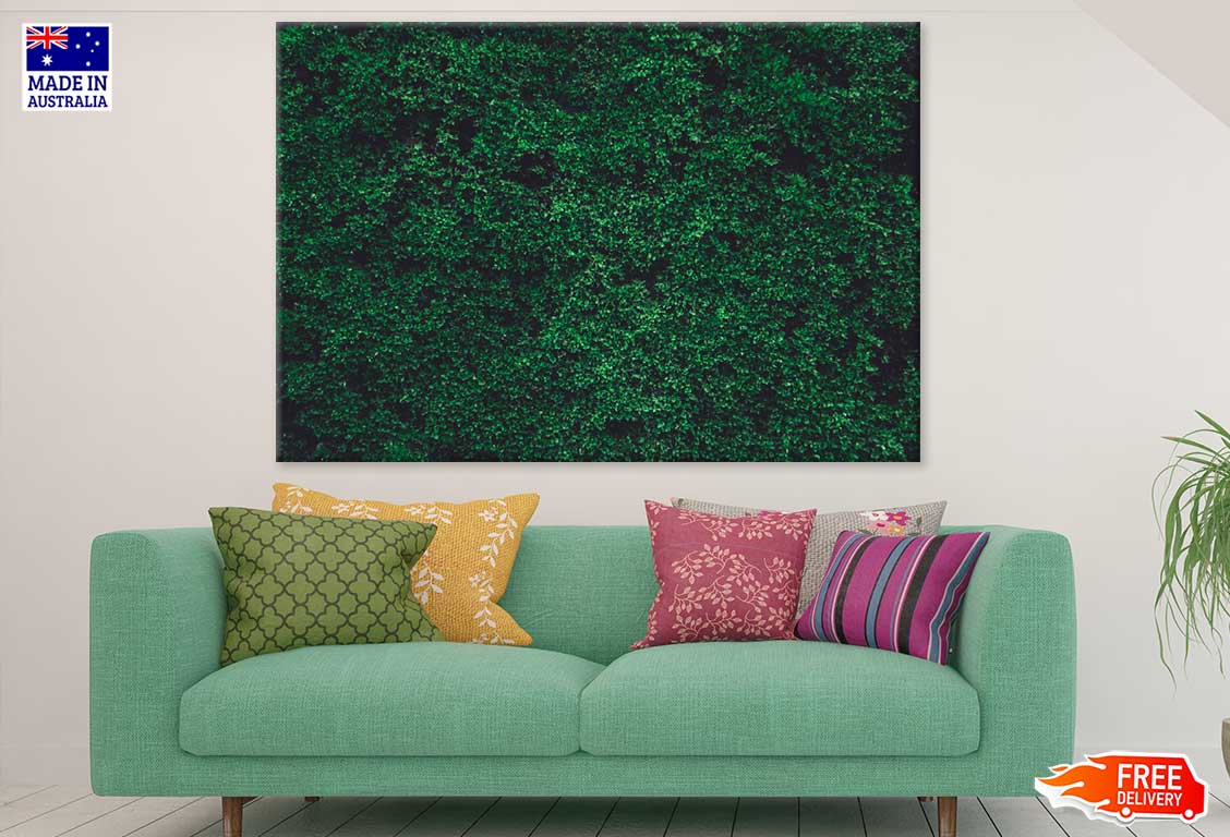 Green Moss On Wall Photograph Photograph Print 100% Australian Made