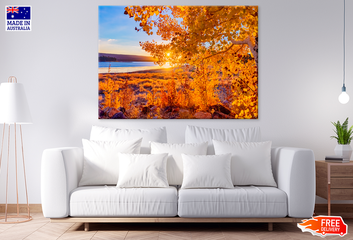 Trees & Sea Sunset Scenery View Print 100% Australian Made