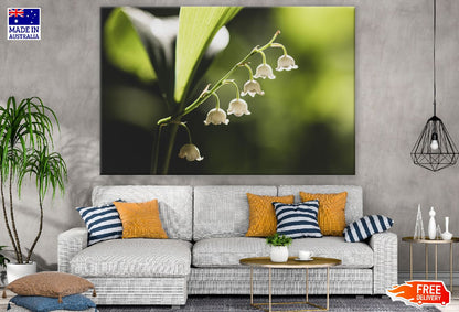 Lilies of the Valley Flowers Closeup Photograph Print 100% Australian Made