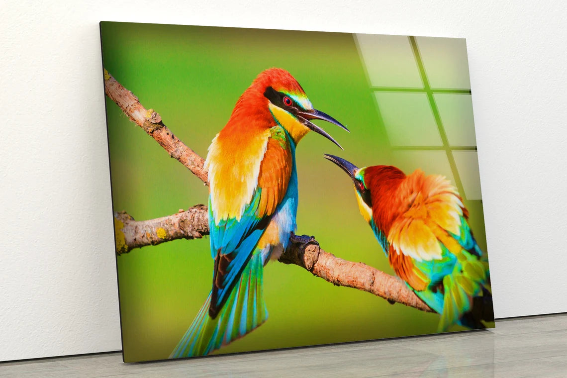 Birds on Tree Photograph Acrylic Glass Print Tempered Glass Wall Art 100% Made in Australia Ready to Hang