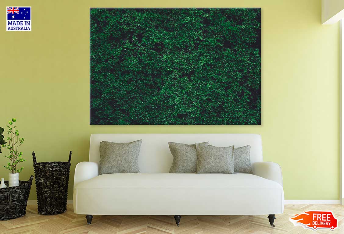 Green Moss On Wall Photograph Photograph Print 100% Australian Made